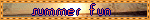 a blinkie that says 'summer fun'