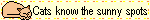 a blinkie that says 'Cats know the sunny spots'