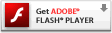 a download button that says 'Get ADOBE FLASH PLAYER'