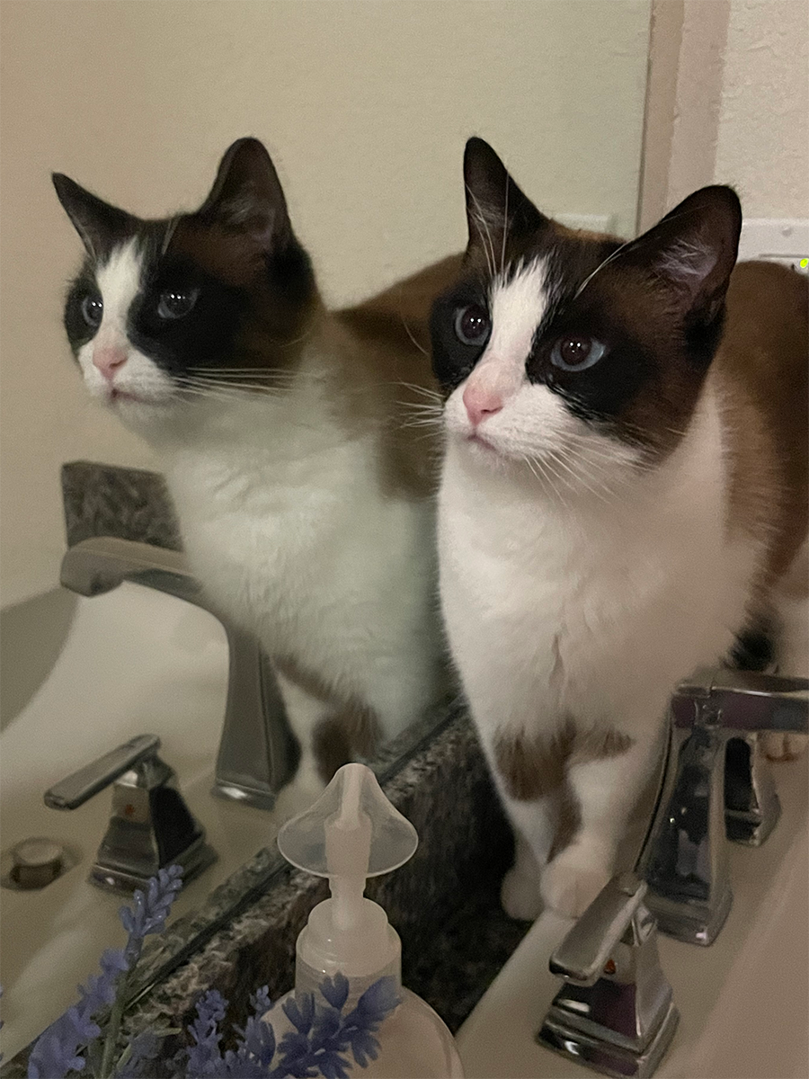 an image of Shawty with her reflection in the mirror