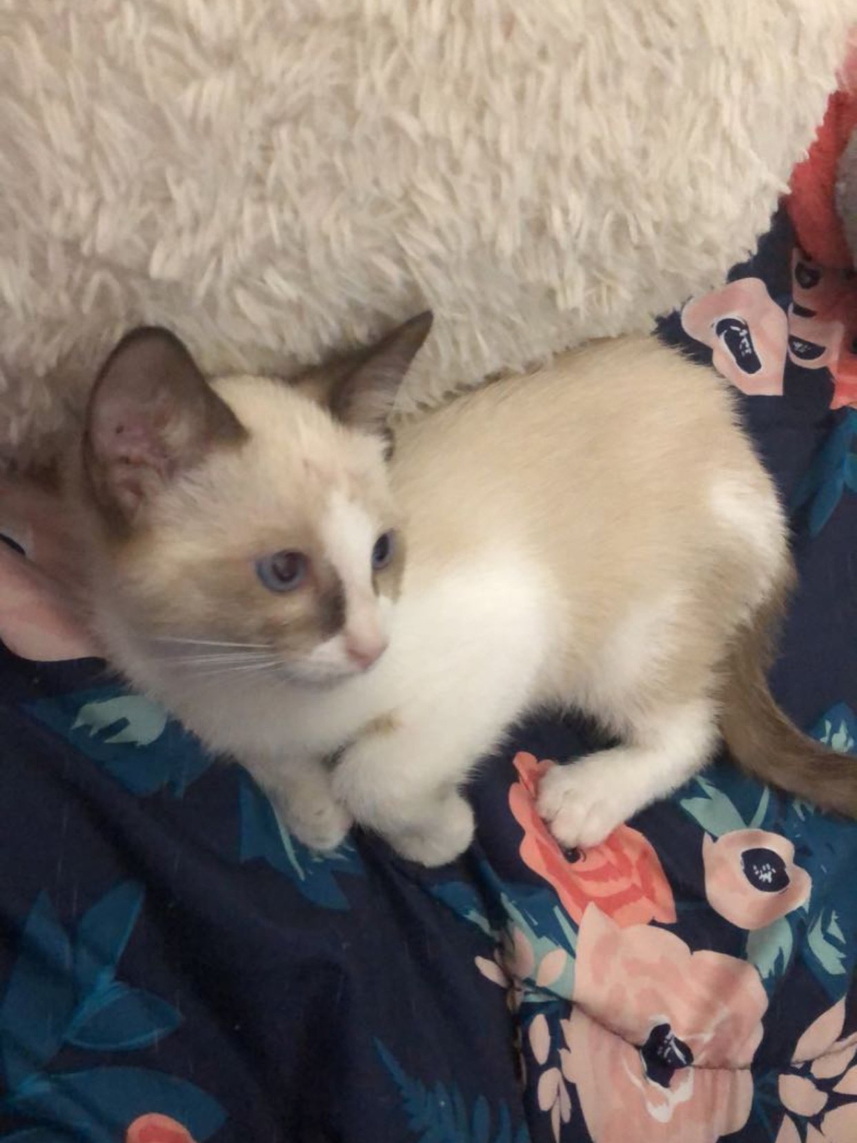an image of shawty as a baby