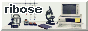 a button of a science lab desk with the text 'ribose'