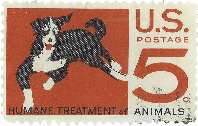 a real life stamp that says 'Humane Treatment of Animals' with a black and white dog pictured. Beside it says 'U.S. Postage 5c'