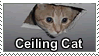 a stamp that features Ceiling Cat