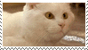 a stamp that has a computer cursor holding a cat's attention